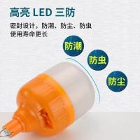 30W(送充电线) 家用应急LED充电灯泡夜市地摊照明锂电池充电户外防水停电应急灯