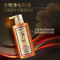 奇焕炫亮 洗发水440ml 大金瓶洗护套装染发护色清洁垂顺精油洗发水护发素持久留香