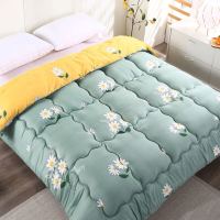 -小雏菊 100*150CM[儿童薄被] 特价被子冬被加厚保暖棉被芯春秋被单人学生宿舍棉被家用空调被褥