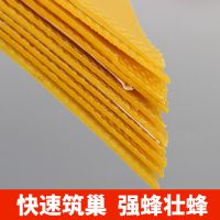 [10片]不划算(不造脾包退) 中蜂巢础片蜜蜂工具土蜂巢全套专用养蜂工具蜂蜡蜂箱巢基深房巢脾