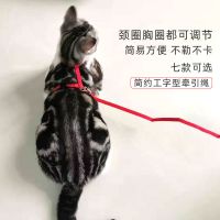 工字绳(红色) M(5-8斤) 兔子猫咪牵引绳侏儒兔外出用防挣脱可绳背心式牵引绳兔子用品