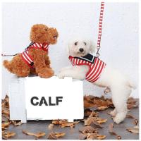 红色 S 狗狗牵引绳风背心式狗绳胸背带狗链子泰迪小型犬狗绳遛狗神器