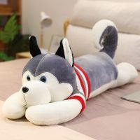红白条纹毛衣款 无衣服特价1米[每天限购] 哈士奇毛绒玩具狗公仔可爱玩偶女生抱枕布娃娃儿童男女孩生日礼物