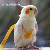 小太阳绿色背带+翅膀+2米手绳 鹦鹉放飞绳背带式鹦鹉外出溜鸟训练绳超轻八哥飞行服飞行绳牵引绳