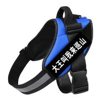 蓝色 XS(建议7-14斤用) 狗狗牵引绳泰迪金毛拉布拉多牵引绳小型犬大型犬k9胸背带狗狗用品