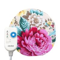 牡丹花 9挡调温(额外送1个内胆) 艾炙盒艾灸盒随身灸艾灸仪器家用宫寒艾绒艾灸熏蒸仪腰腹部宫寒灸