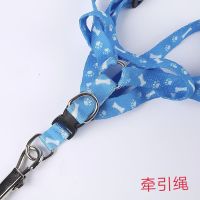 牵引绳 小宠物牵引绳遛鼠绳遛绳宠物铃铛弯松鼠仓鼠兔子用品金丝熊荷兰猪