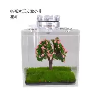 小号花树 蝈蝈跳蛛油葫芦蟋蟀鸣虫生态盒竹蛉黑虫亚克力饲养盒 控温加热垫
