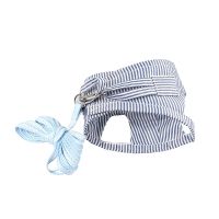 蓝色L胸围17-22CM 龙猫牵引绳专用 外带荷兰猪专用牵引绳雪貂宠物貂兔子豚鼠 背心T