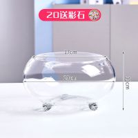 20三足[送彩石] 透明创意三足玻璃鱼缸客厅家用小型金鱼缸乌龟缸生态水培桌面摆件
