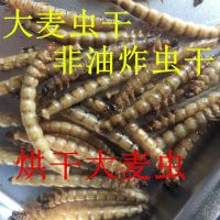 50克 大麦虫干仓鼠龟罗汉血鹦鹉大面包虫干金龙鱼饲料地图鱼粮食鸟饲料