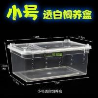 小盒套餐(小盒+钙沙+水苔) 爬虫饲养盒爬宠箱蟋蟀蜘蛛守宫蜥蜴爬行宠物昆虫乌龟缸