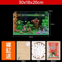 裸缸送赠品 30x18x20cm 热弯玻璃鱼缸创意桌面水族箱长方形造景金鱼缸客厅中小型裸缸龟缸