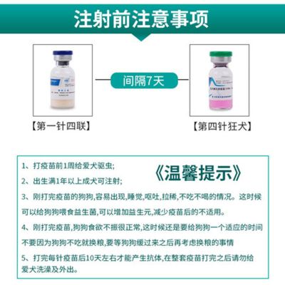 成犬疫苗套装(疫苗+狂犬) 吉林五星成犬疫苗套餐狗狗四联狂犬预防犬瘟细小金毛泰迪大狗育苗