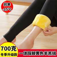 黄金绒700克 建议-15度以下 M 80-100斤 特厚保暖棉裤女冬季北方超厚抗寒羊羔绒一体裤加绒加厚外穿打底裤
