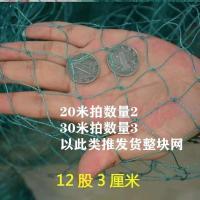 12股3厘米[养鸡网 养殖网] 1米高10米长 渔网网片家禽养殖网爬藤网菜园拦鸡网山鸡天网果园防鸟网围网加粗