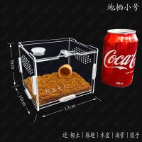 地栖小号 12x10x9cm 爬虫透明饲养盒亚克力守宫蜥蜴蜘蛛甲虫昆蜗牛树栖地爬宠物睫角箱