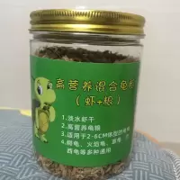 精品火焰龟[龟粮+虾干] 1只 外塘宽纹火焰龟碌素食吃菜小乌龟活物宠物乌龟鱼缸混养深水龟