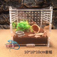 C款迷你盒套餐10x10x10 爬虫饲养盒亚克力爬宠盒爬虫箱刺猬寄居蟹蜘蛛角蛙守宫蜥蜴饲养箱