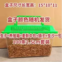 饲料1斤 麦麸面包虫小壁虎吃的食物宠物龙鱼活虫饲料黄粉虫苗画眉鸟提性虫
