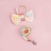 七彩项圈+牵引 S(幼猫2-4斤) 猫咪牵引绳溜猫神器猫绳子背心式小型外出蝴蝶结胸背带可爱猫链子