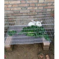 70x40x30加脚垫 兔笼 特大号兔子笼 荷兰猪 垂耳兔 宠物兔养殖兔家用兔子繁殖笼子