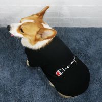 cha黑色 XS背长20(建议2斤) 柯基狗狗衣服春秋夏季薄款潮牌泰迪宠物小狗中小型犬比熊狗狗用品