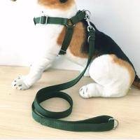 中号(20-50斤) 军绿色P链项圈 中大型犬双层脖圈狗狗胸背带套装阿拉斯加德牧萨摩金毛狗链牵引绳