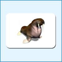 48张动物卡 早教杜曼百科动物闪卡右脑潜能开发宝宝儿童益智看图识字认知卡片