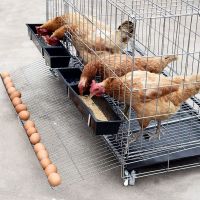 地区:北京 天津 河北 加粗不带轮70*51*64 鸡笼子养殖笼田鸡笼家用大号特大号养鸡笼子铁鸡舍自动下蛋鸡笼网