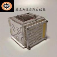 白色 迷你阳台(巢一个)特价 不tE 阳台系列 蚂蚁别墅 蚂蚁巢 亚克力巢 蚂蚁工坊 蚂蚁城堡 蚂蚁宠物