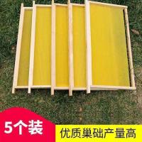 中蜂成品巢脾框5个装 巢框中意蜂巢础成品蜂箱巢框铁丝意蜂巢脾蜂蜡蜜蜂巢础带框蜂具