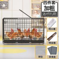 加粗款套餐一 60*43*50(适合1-2只鸡) 鸡笼子家用养鸡笼大号特大号自动清粪折叠养殖笼鸡舍网片笼鸭鹅笼