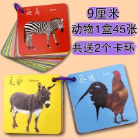 动物1盒共45张 宝宝早教学习卡片幼儿童看图识数字颜色图片识物动物认知卡片启蒙