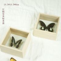 14.5*14.5* 14.5*14.5*6cm实木昆虫标本盒透明展示盒蝴蝶标本相框独角仙盒子