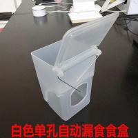白色自动单孔漏食挂盒 鸽子食槽 鸽子用品用具 鸟喂食器防撒自动食盒鸡食槽赛鸽信鸽食槽