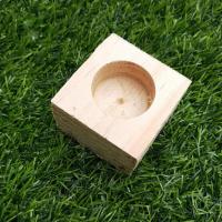 果冻台 独角仙成虫用品及套餐