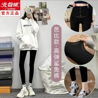 py芭比裤纯色-薄款 均码 适合80-120斤 东北羊羔绒大码鲨鱼打底裤女胖mm跨大腿粗加绒加厚瑜伽200斤秋冬