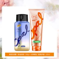 洗发水250g+焗油225ml 澳宝洗发水护发素套装净屑控油洗发露液一分钟焗油男士女士柔顺