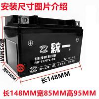 踏板车 统一牌 干电瓶 适用于女士踏板摩托车干电瓶 鬼火 海王星 豪迈125 12V免维护电池