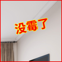 除霉咖喱除霉剂墙体墙面去霉斑霉菌清洁剂防霉剂喷雾去霉发霉神器