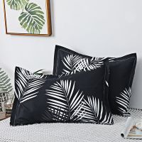 杉树叶[信封式] 枕套一个[不含枕芯] 学生单人枕头枕芯加枕套宿舍男女孩可爱卡通简约护颈助眠枕一只装