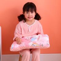 彩虹马 30x50cm(适合1-6岁) 儿童安抚豆豆枕头宝宝卡通幼儿园枕头小学生枕头单人床婴儿床枕芯