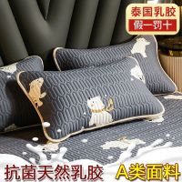 A类天竺针织棉-北极熊-灰蓝 纯乳胶夹层-48*74cm[单只装 夹乳胶枕套防螨一对装枕巾单人枕头套保护枕芯套装48*7