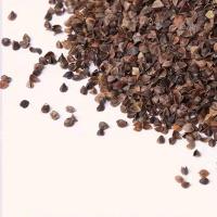 特级免洗荞麦壳 荞麦壳(1斤装) 荞麦壳荞麦皮高温免洗消毒杀菌婴儿枕荞麦枕芯成人枕头填充物枕芯