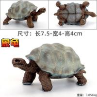 青色加拉帕戈斯象龟 仿真实心乌龟模型玩具象陆龟海龟静态塑胶海洋动物儿童认知礼物