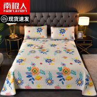 南极人(春天里) 枕套一对 (三层夹棉)可机洗四季款床盖学生宿舍榻榻米垫子厚床单