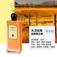 [大卫古龙]100ML经典男士香(中浓香)[送精油挂件] 汽车香水补充液大瓶车载香水车内香薰车用精油古龙海洋除异味用品