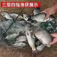 白丝单层浮网1米高18米长1指 。单成鱼网鱼网粘网单层浮网沉网6789分眼一指小渔网鱼1指小白