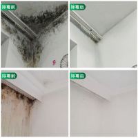 买2送1 墙体除霉剂回南天潮湿发霉防霉剂霉斑白墙去霉点清洁剂